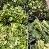 نیرو خانم برای محیطی کاملا زنانه|استخدام خدمات فروشگاه و رستوران|تهران, اوقاف|دیوار