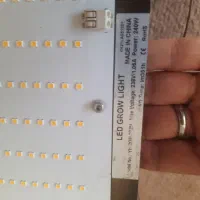 چراغ رشد گیاه سامسونگ،گیاه گلخانه ای،تمام لوازم هس|گل و گیاه طبیعی|شاهرود, |دیوار