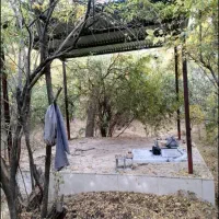 باغ-انار-مهریز