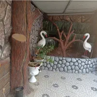 نمای سیمانی طرح سنگ و چوب با رنگ آمیزی ساختمان