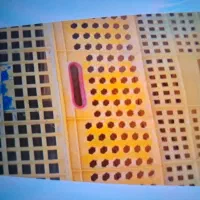 سبدماهی ۶عدد