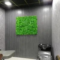 اجرای (دیوار TV) و کاغذ دیواری ، کناف|مصالح و تجهیزات ساختمان|بم, |دیوار