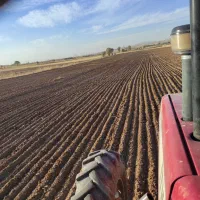 خدمات کشاورزی کار با تراکتور شخم چیزل کاشت گندم