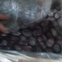 خرمامضافتی کلوته|خوردنی و آشامیدنی|کهنوج, |دیوار