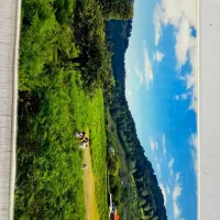 بهترین هدیه برای هرمناسبتی|تابلو فرش|قم, بلوار امین و ساحلی|دیوار