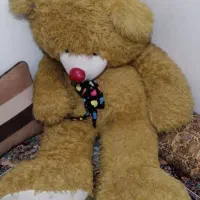 خرس شاسخین|اسباببازی بچه|تنکابن, |دیوار