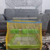 قفس کاسکویی 1033