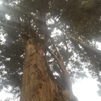 گردش حال کردن تفریح به یادماندنی|فعالیت داوطلبانه|سامان, |دیوار