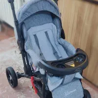 کالسکه دلیجان مدل بنیتا|کالسکه و لوازم جانبی|پرند, فاز ۵|دیوار