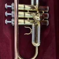 ترومپت سوزوکی با هارد کیس آلومینیومی|سازهای بادی|کرمان, |دیوار