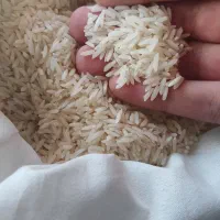 برنج ایرانی هاشمی عنبربو خوشپخت امسال فجر و طارم|خوردنی و آشامیدنی|کرج, ساسانی (قلمستان)|دیوار