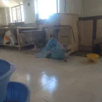به یک فروشنده خانم جهت نان ویک شاطربربری