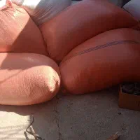 کاه جو شواکی 700 تراکتور کمبا کرد