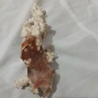 سنگ قیمتی|کلکسیون اشیاء عتیقه|بناب, |دیوار