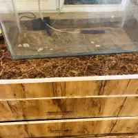 آکواریوم بزرگ