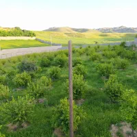 زمین ویلاباغ