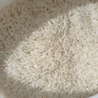 برنج طارم هاشمی