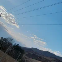 فروش زمین بحر اصلی|فروش زمین و ملک کلنگی|کیاسر, |دیوار