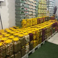 تولیدوپخش خیارشور و ترشیجات،زیتون