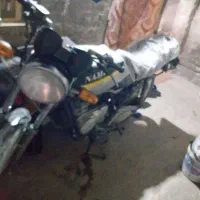 موتور پالس پلاک ملی|موتورسیکلت|مشهد, شهید جنگی|دیوار