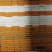 شانه تخم مرغ 30 عددی