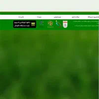 بلیط بازی استقلال پیکان