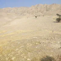 زمین کشاورزی|فروش دفتر صنعتی، کشاورزی، تجاری|خشت, |دیوار