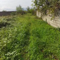 زمین در گلها