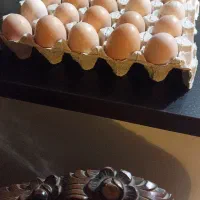 تخم مرغ محلی ارگانیک|خوردنی و آشامیدنی|کرج, دهقان ویلا|دیوار