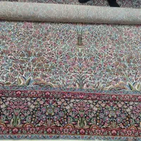 قالی 2/50در3/50