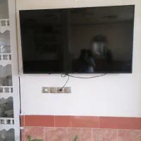 تلویزیون هایسنس55اینچ|تلویزیون و پروژکتور|بالا ولایت, |دیوار