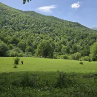 نیروی چایی چین در استانبول