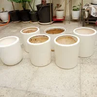 گلدان و تنگ
