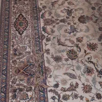 یک تخته فرش ۱۲ متری|فرش|تهران, نیروی هوایی (پیروزی)|دیوار