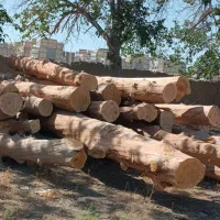 خرید چوب و ضایعات