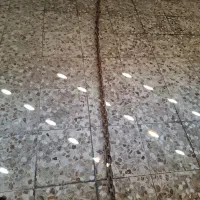زنجیر حمل و نقل.آمریکایی