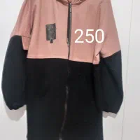 تعدادی پالتو و بارانی زنانه|لباس|دورود, |دیوار