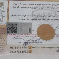 شاهین  G کارمندی سانروف فول ۱۴۰۲|خودرو سواری و وانت|گرگان, |دیوار