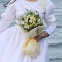 فروش لباس مجلسی