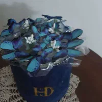 شب خواب
