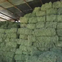 پرس یونجه|لوازم جانبی حیوانات|گلپایگان, |دیوار