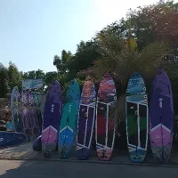 اجاره *ساعتی* پدل بورد