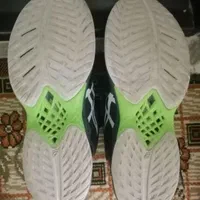 کتانی والیبال اسیکس مستر|کیف، کفش، کمربند|اسفراین, |دیوار