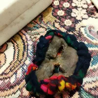 دوربین کلکسیونی