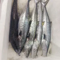 ماهی تازه. سفارشی صید روز.|خوردنی و آشامیدنی|سپیدان, |دیوار