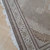 فرش دوازده  متری|فرش|رامسر, |دیوار