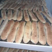 نیروی کار