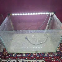 آکواریوم با وسایل