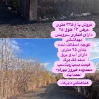 فروش باغ ۳۰۰ متری