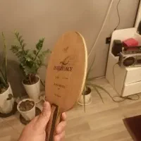 فروش رویه و تخته پینگ پنگ|ورزشهای توپی|مشهد, راهنمایی|دیوار